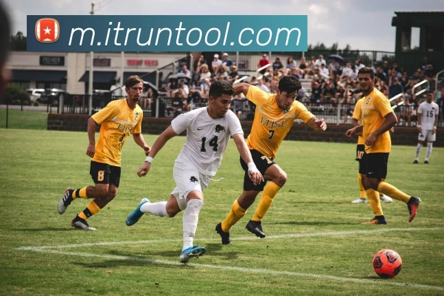 mksports官方app官网入口平台生态图